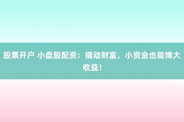 股票开户 小盘股配资：撬动财富，小资金也能博大收益！