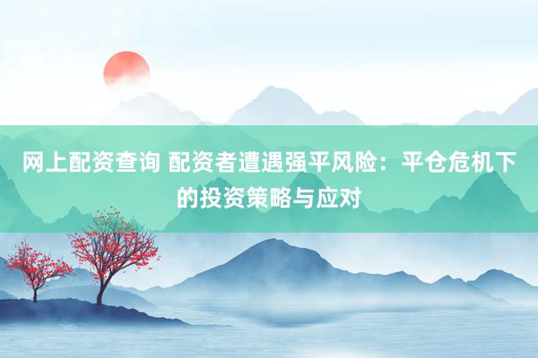 网上配资查询 配资者遭遇强平风险：平仓危机下的投资策略与应对