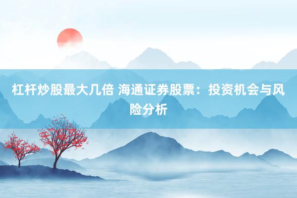 杠杆炒股最大几倍 海通证券股票：投资机会与风险分析