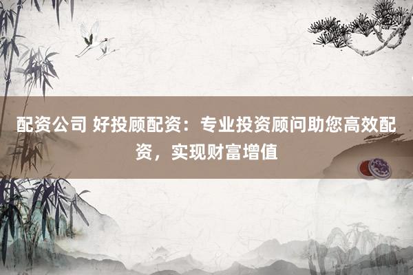 配资公司 好投顾配资：专业投资顾问助您高效配资，实现财富增值