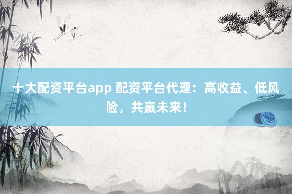 十大配资平台app 配资平台代理：高收益、低风险，共赢未来！