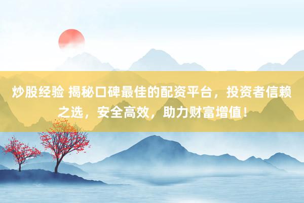 炒股经验 揭秘口碑最佳的配资平台，投资者信赖之选，安全高效，助力财富增值！