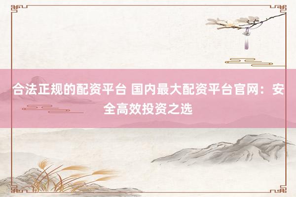 合法正规的配资平台 国内最大配资平台官网：安全高效投资之选