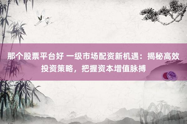 那个股票平台好 一级市场配资新机遇：揭秘高效投资策略，把握资本增值脉搏