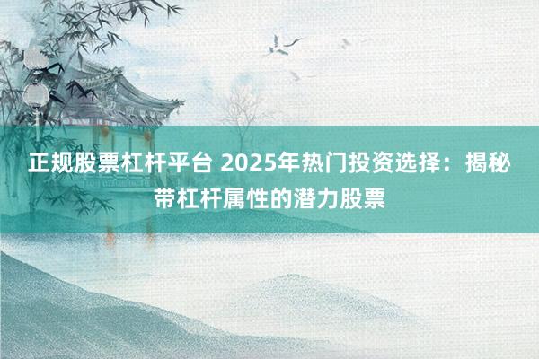 正规股票杠杆平台 2025年热门投资选择：揭秘带杠杆属性的潜力股票