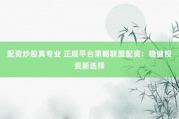 配资炒股真专业 正规平台策略联盟配资:稳健投资新选择