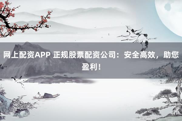 网上配资APP 正规股票配资公司：安全高效，助您盈利！