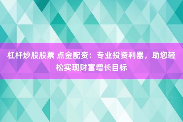 杠杆炒股股票 点金配资:专业投资利器,助您轻松实现财富增长目标