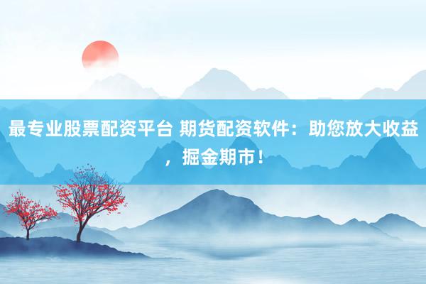 最专业股票配资平台 期货配资软件:助您放大收益,掘金期市!