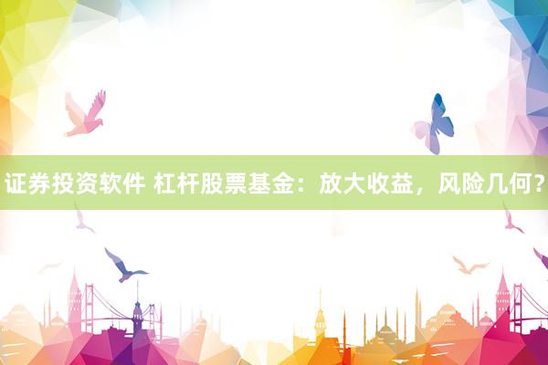 证券投资软件 杠杆股票基金：放大收益，风险几何？