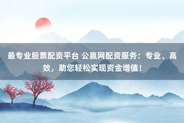 最专业股票配资平台 公赢网配资服务：专业、高效，助您轻松实现资金增值！