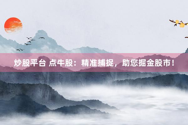 炒股平台 点牛股：精准捕捉，助您掘金股市！